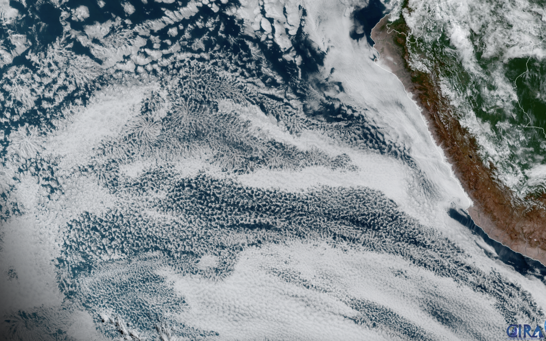 La sorprendente dinámica de las nubes actinoformes: «estratocanes».