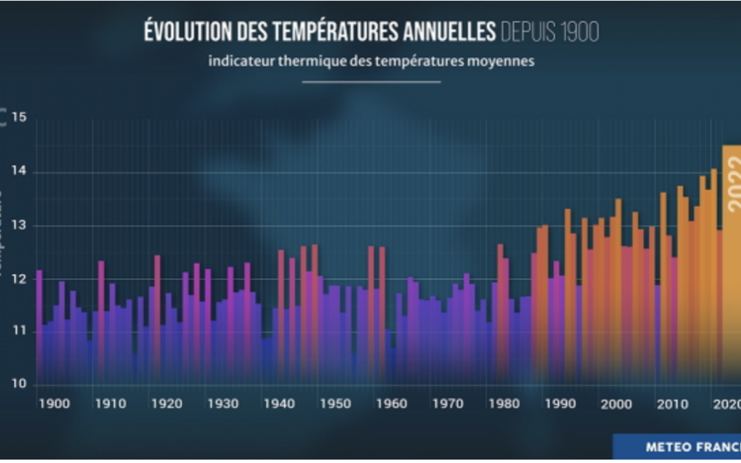 Météo France: 2022, el año más cálido en Francia