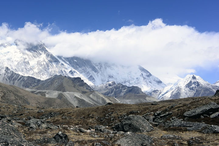 Más vida vegetal en el área del Everest